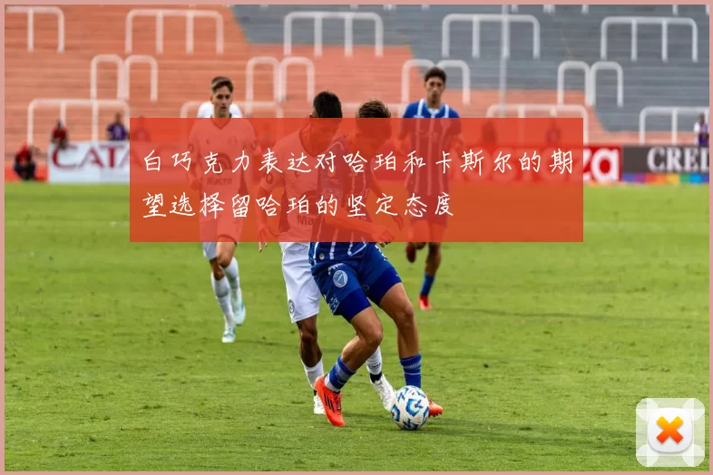 白巧克力表达对哈珀和卡斯尔的期望选择留哈珀的坚定态度